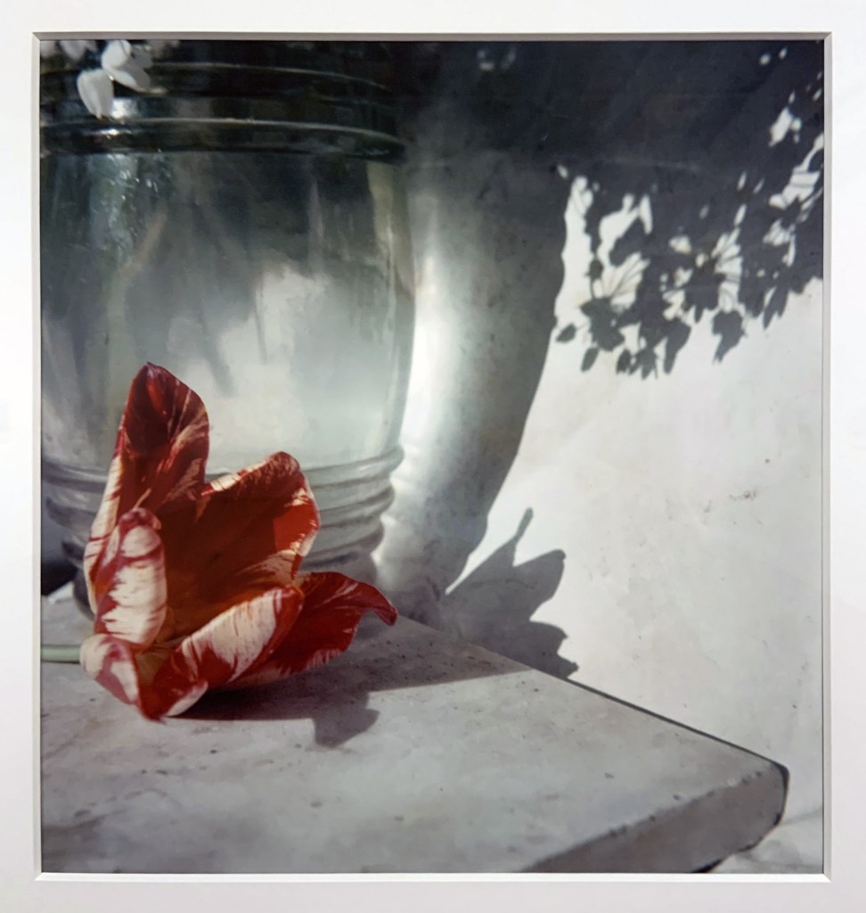 Jacques Henri Lartigue (French, 1894-1986) 'Opio, France, 1963' (installation view)