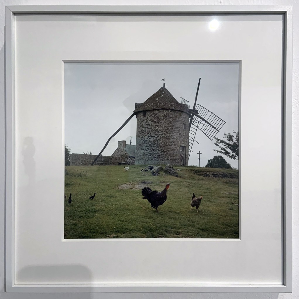 Jacques Henri Lartigue (French, 1894-1986) 'Vendeé, France 1958' (installation view)