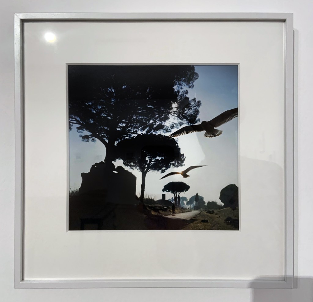 Jacques Henri Lartigue (French, 1894-1986) 'The Appian Way, Rome, Italy, January 1960' (installation view)