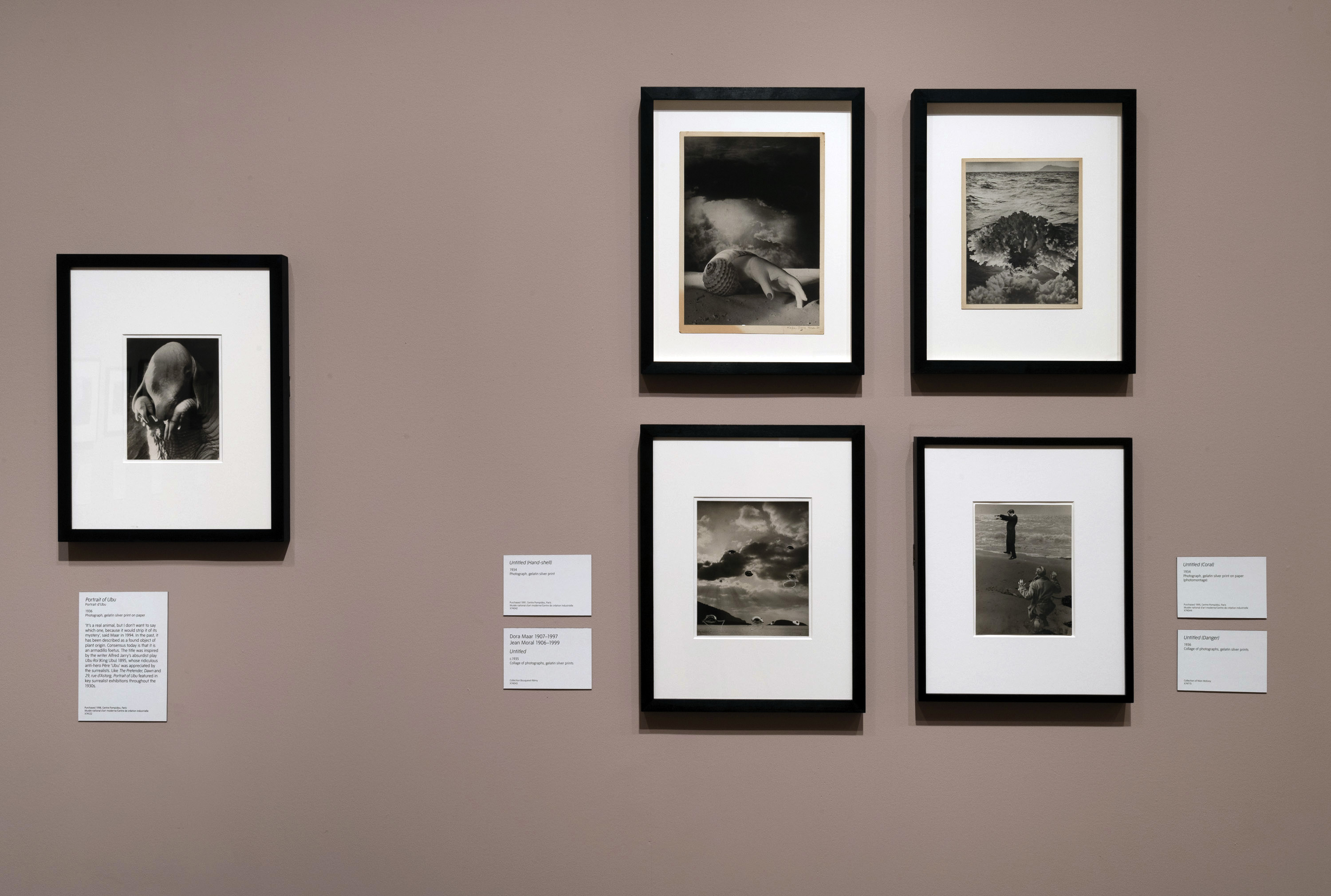 Installation view of the exhibition 'Dora Maar' at Tate Modern, 2019 showing Maar's photographs 'Portrait of Ubu' (1936, left), 'Untitled (Hand-Shell)' (1934, top middle) and 'Danger' (1936, bottom right) Installation view of the exhibition 'Dora Maar' at Tate Modern, 2019 showing Maar's photographs 'Portrait of Ubu' (1936, left), 'Untitled (Hand-Shell)' (1934, top middle) and 'Danger' (1936, bottom right)