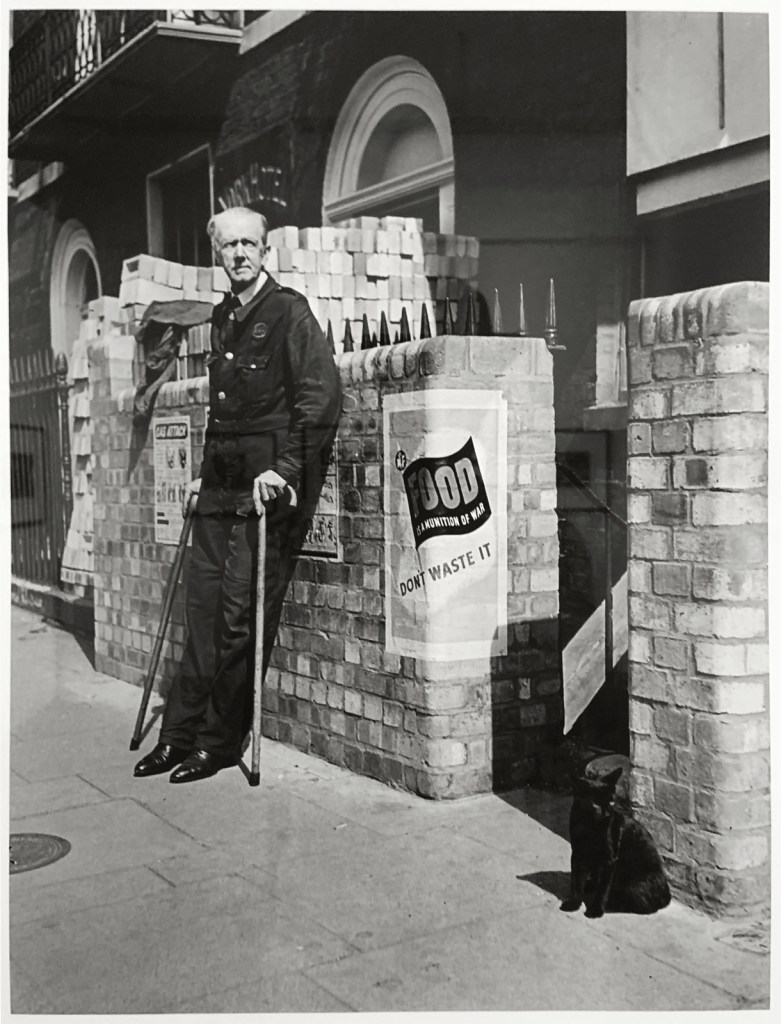 Robert Capa (American-Hungarian, 1913-1954) 'Man and cat outside an air-raid shelter, London, UK' June-July 1941