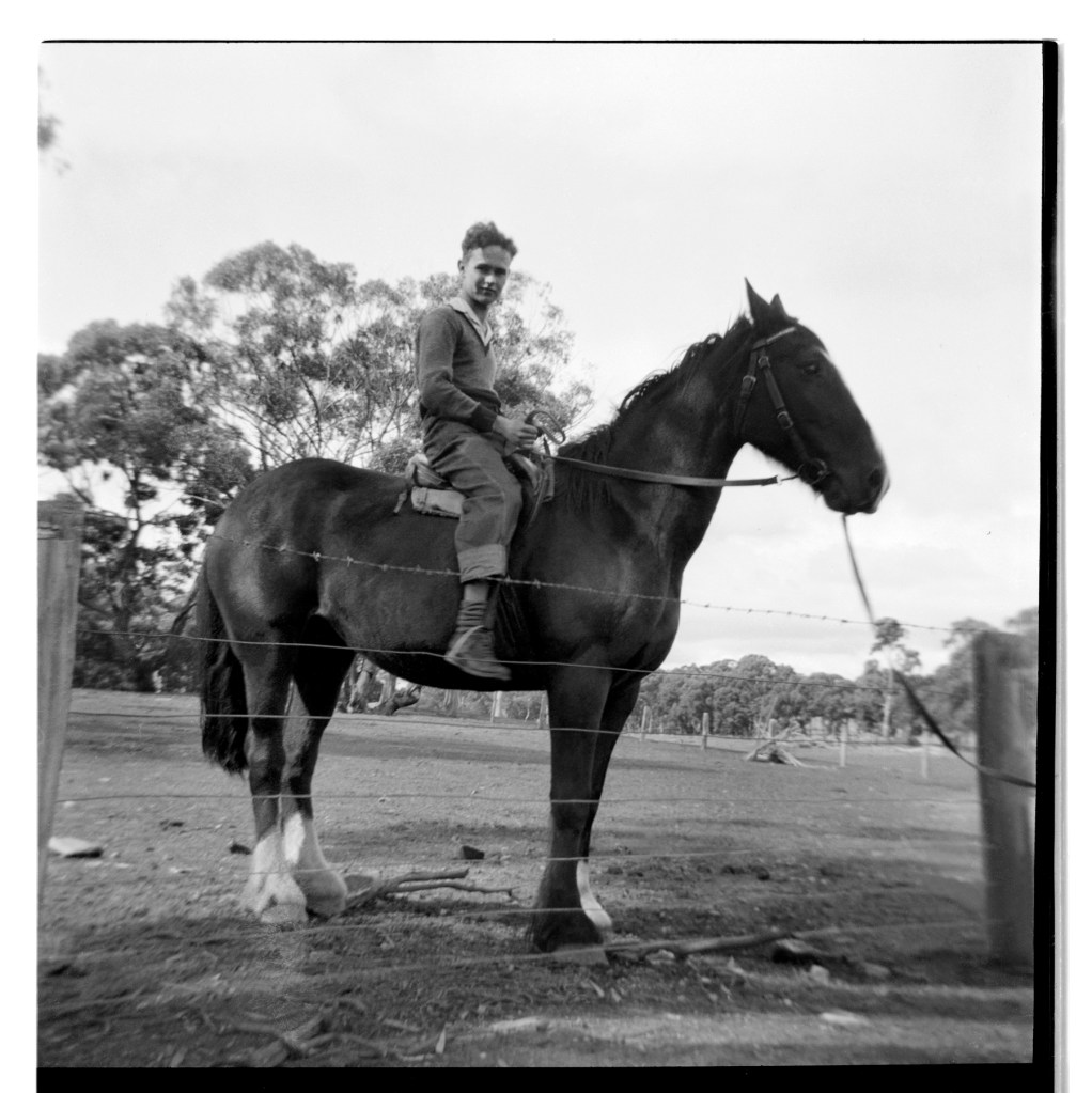 Unknown photographer (Australian) 'Untitled (boy on horse)' 1946-47