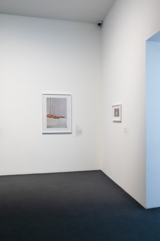 Installation view of the exhibition 'Dressing Up' at the Monash Gallery of Art, Melbourne showing the work of Polly Borland from her 'Bunny' series (2004-2005)