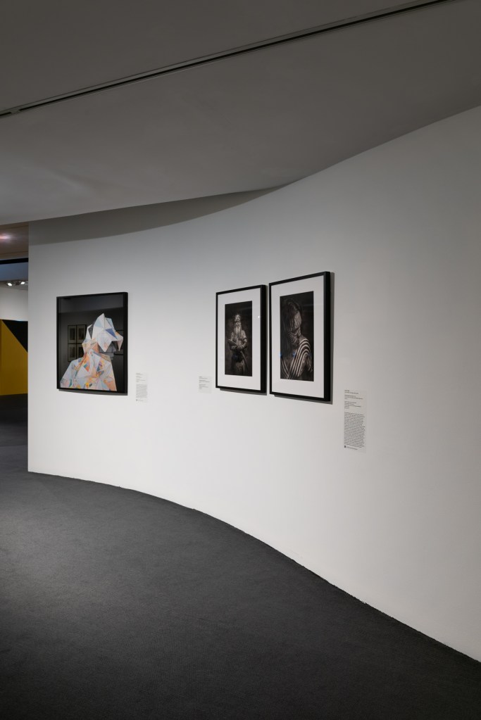 Installation view of the exhibition 'Dressing Up' at the Monash Gallery of Art, Melbourne showing at left, Christian Thompson's 'Gods and kings' (2015) and at right, Damien Shen's 'Ventral aspect of a male #1 and #2' (2014)