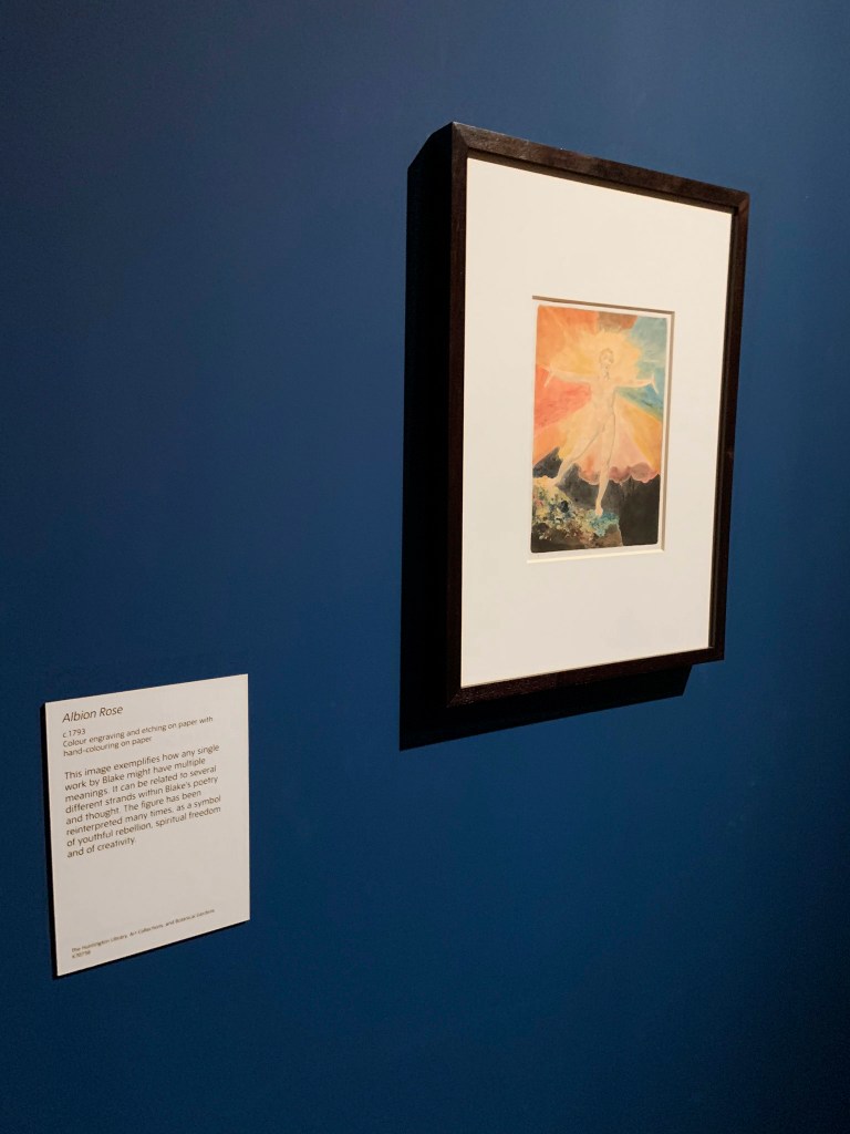 William Blake (British, 1757-1827) 'Albion Rose' c. 1793 (installation view)