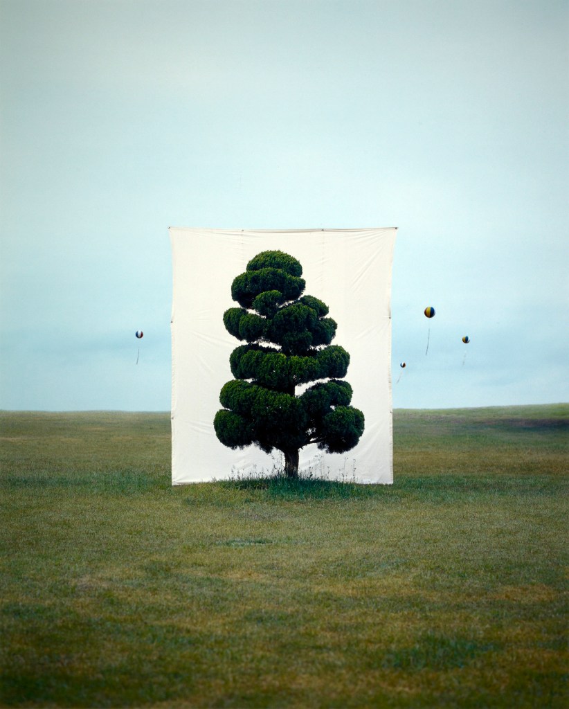 Myoung Ho Lee (South Korean, b. 1975) '[Tree #2]' 2006