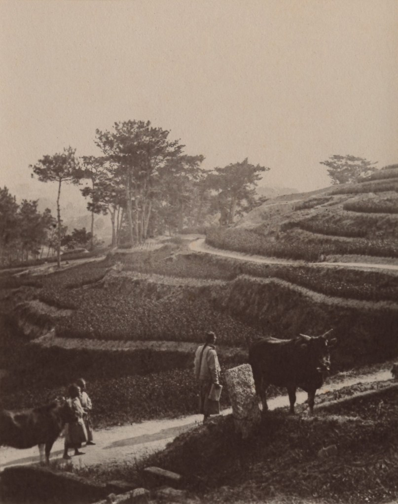 John Thomson (Scottish, 1837-1921) 'Road to the Plantation' 1870-1871