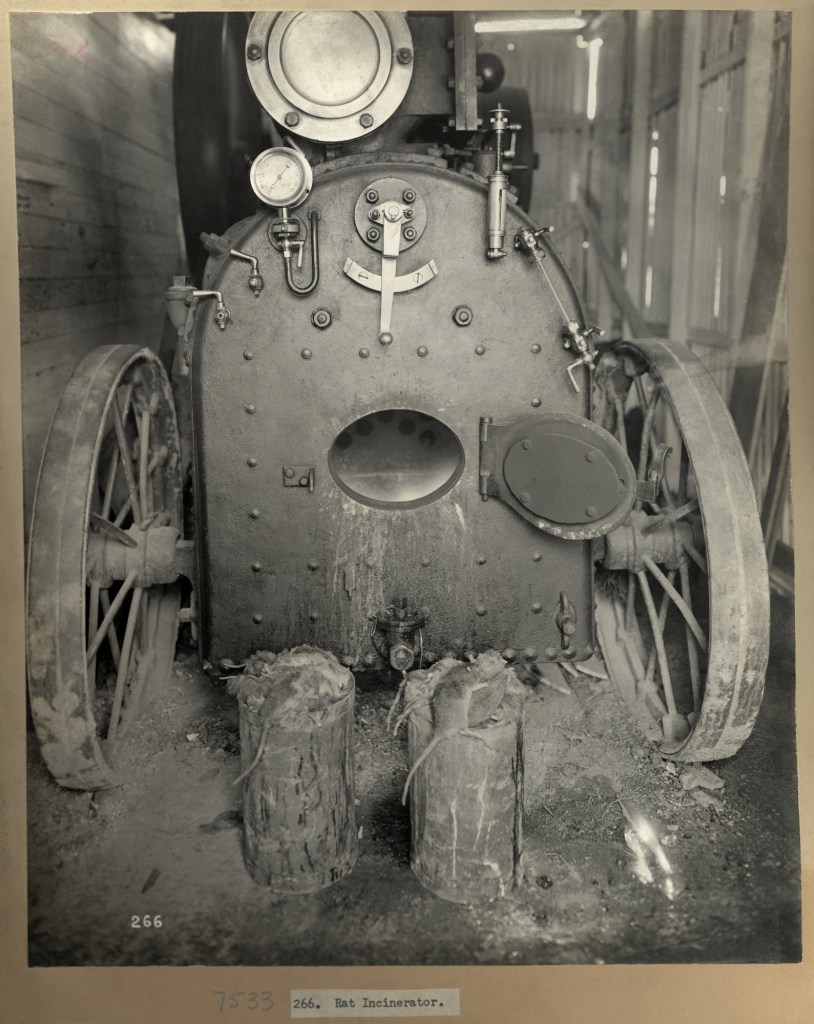 John Degotardi Jr. (Australian, 1860-1937) '266. Rat Incinerator' 1900