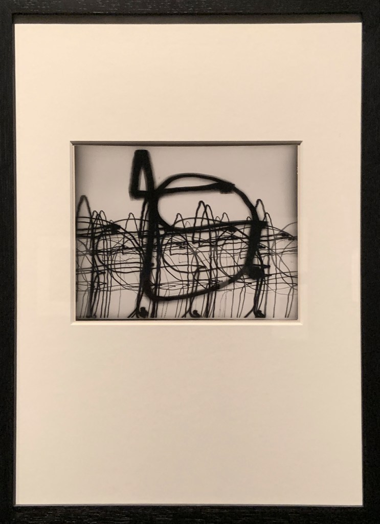 Otto Steiner (German, 1915-1978) 'Luminogram' 1952 (installation view)