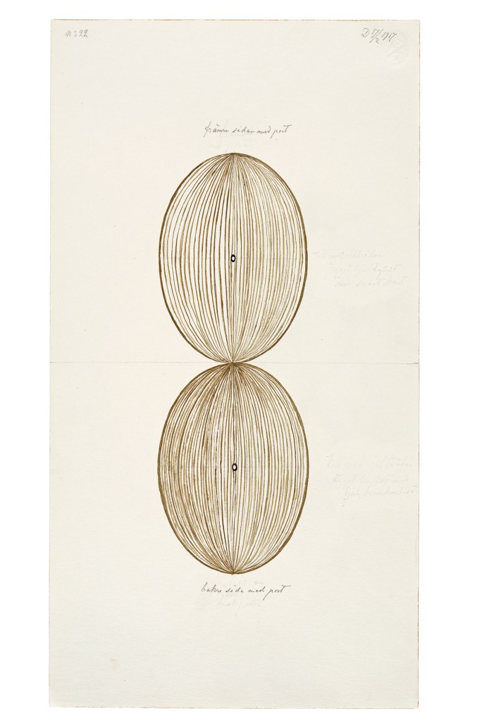 Hilma af Klint (Swedish, 1862-1944) 'No title, No. 22' 1917