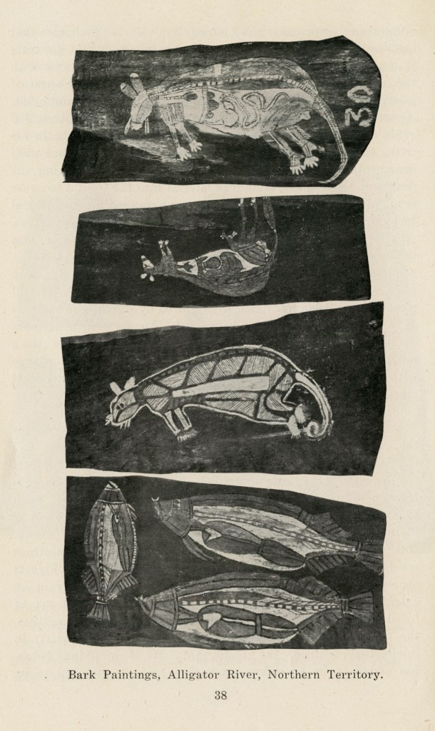 Bark Paintings, Alligator River, Northern Territory
