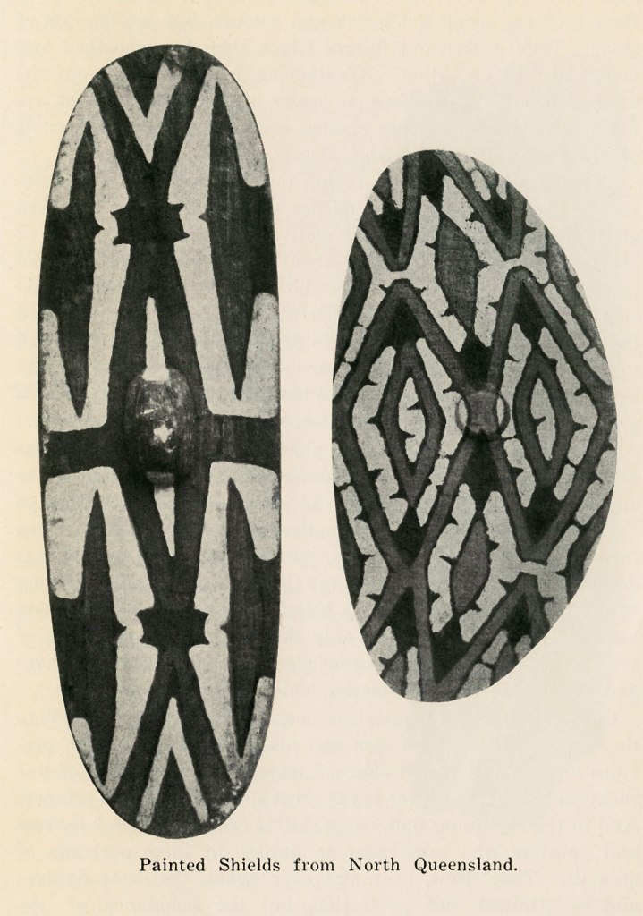 Painted Shields from North Queensland