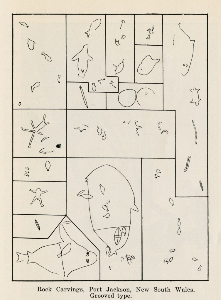 Rock Carvings, Port Jackson, New South Wales. Grooved type