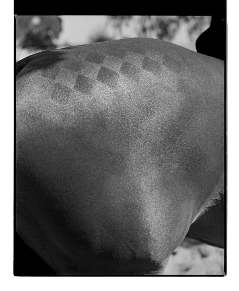 Marcus Bunyan. 'Diamonds' from 'Horses, sheep' 1994-95