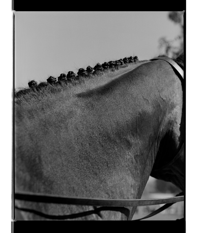 Marcus Bunyan. 'Button braids' from 'Horses, sheep' 1994-95
