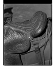 Marcus Bunyan. 'Saddle' from 'Horses, sheep' 1994-95