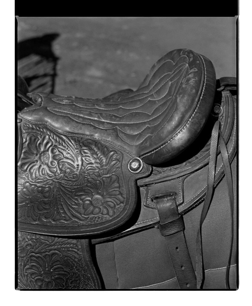 Marcus Bunyan. 'Saddle' from 'Horses, sheep' 1994-95