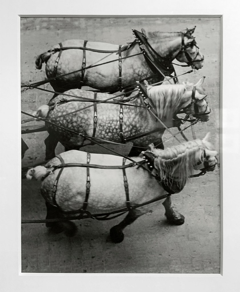 André Kertész (Hungarian, 1894-1985) 'Attelage, Paris' 'Coupling, Paris' 1925