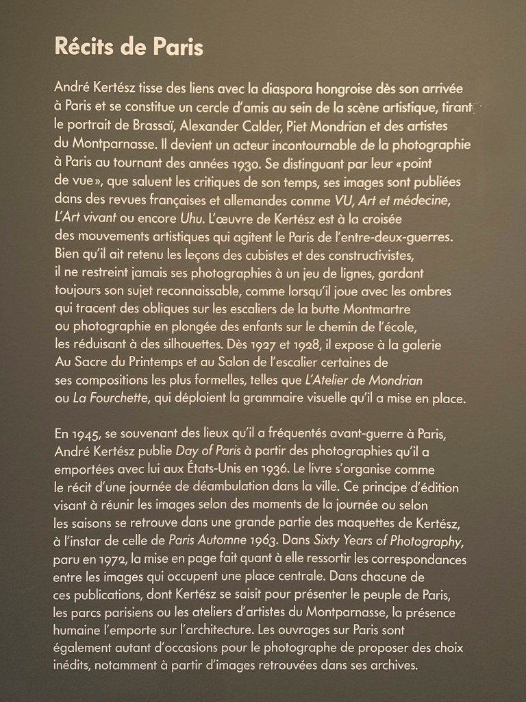 Text from the exhibition 'L'equilibriste, André Kertész' at Jeu de Paume, Château de Tours