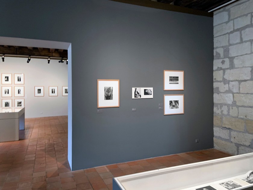 Installation view of the exhibition 'L'equilibriste, André Kertész' at Jeu de Paume, Château de Tours