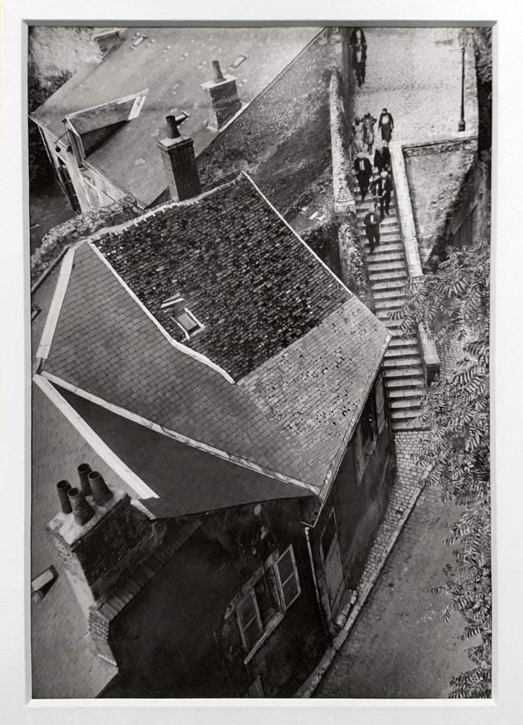 André Kertész (Hungarian, 1894-1985) 'Touraine' 1930 (installation view)