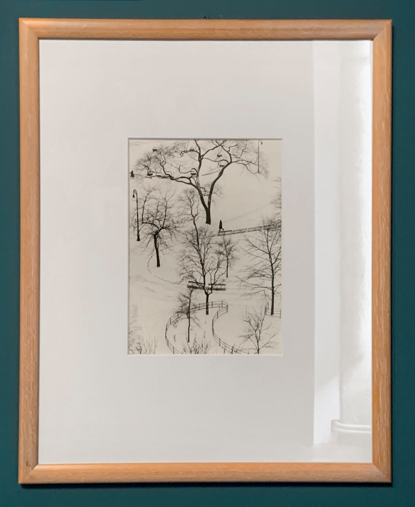 André Kertész (Hungarian, 1894-1985) 'Washington Square, New York' 1954 (installation view)