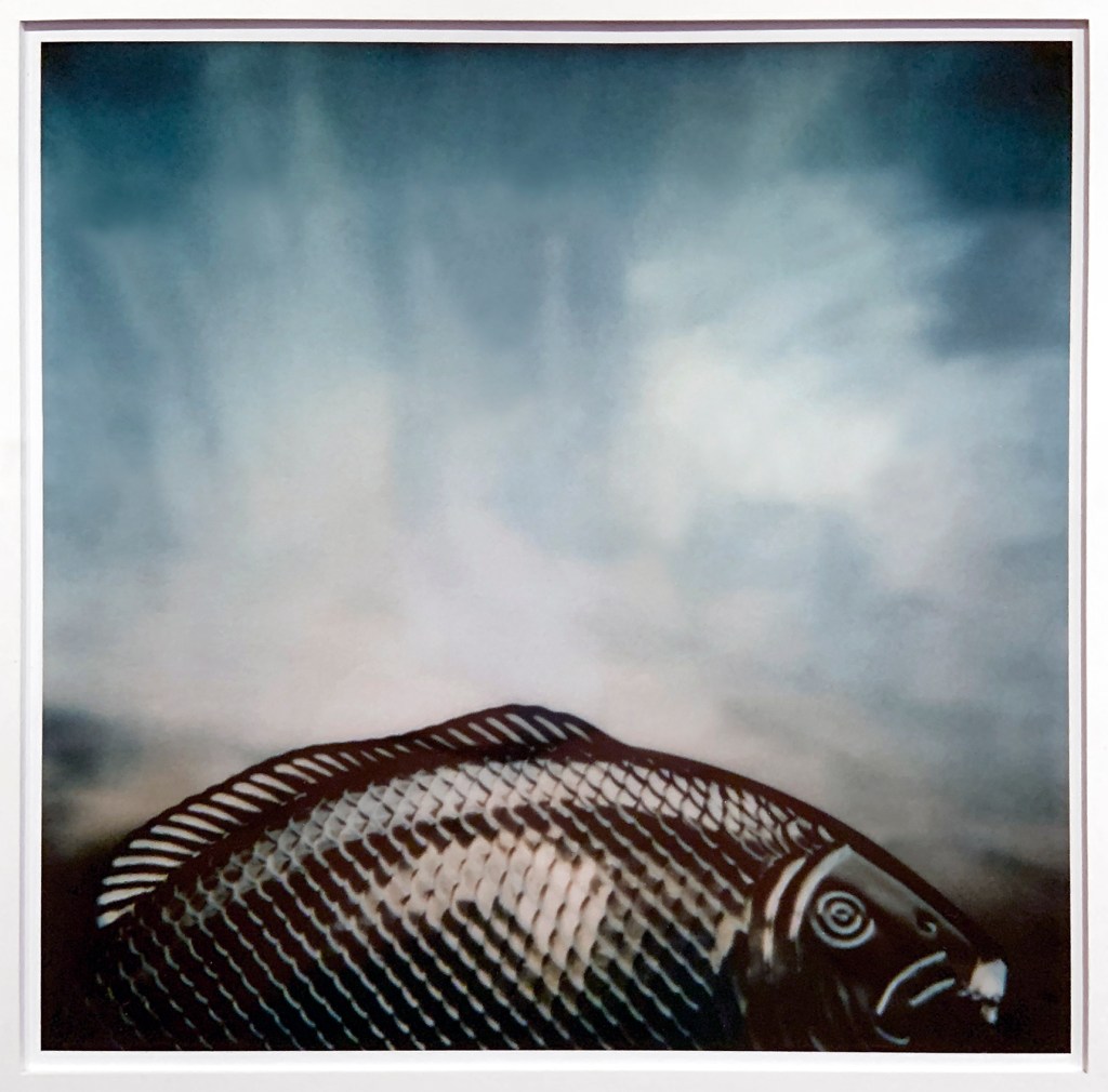 André Kertész (Hungarian, 1894-1985) '21 June 1979' (installation view)