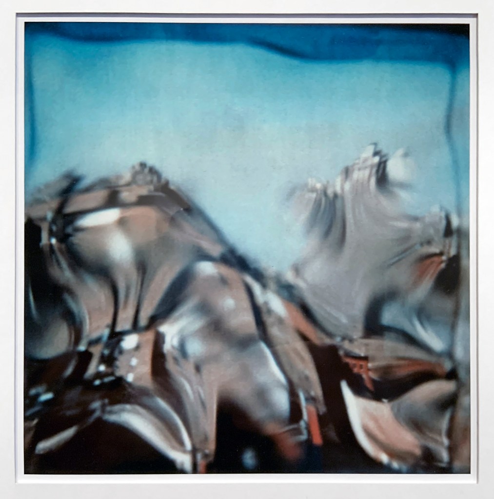 André Kertész (Hungarian, 1894-1985) '13 August 1979' (installation view)