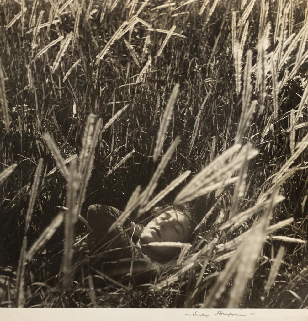 Max Dupain (Australian, 1911-1992) '(Olive Cotton in Wheat Fields)' Nd