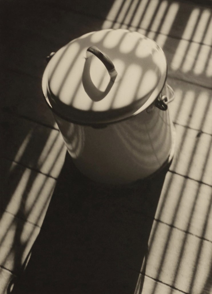 Max Dupain (Australian, 1911-1992) 'Still Life' 1935