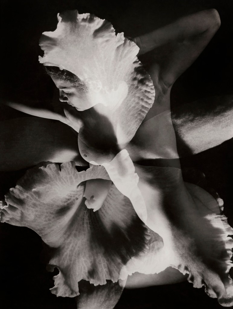 Max Dupain (Australian, 1911-1992) 'Debussy Quartet in G' 1937