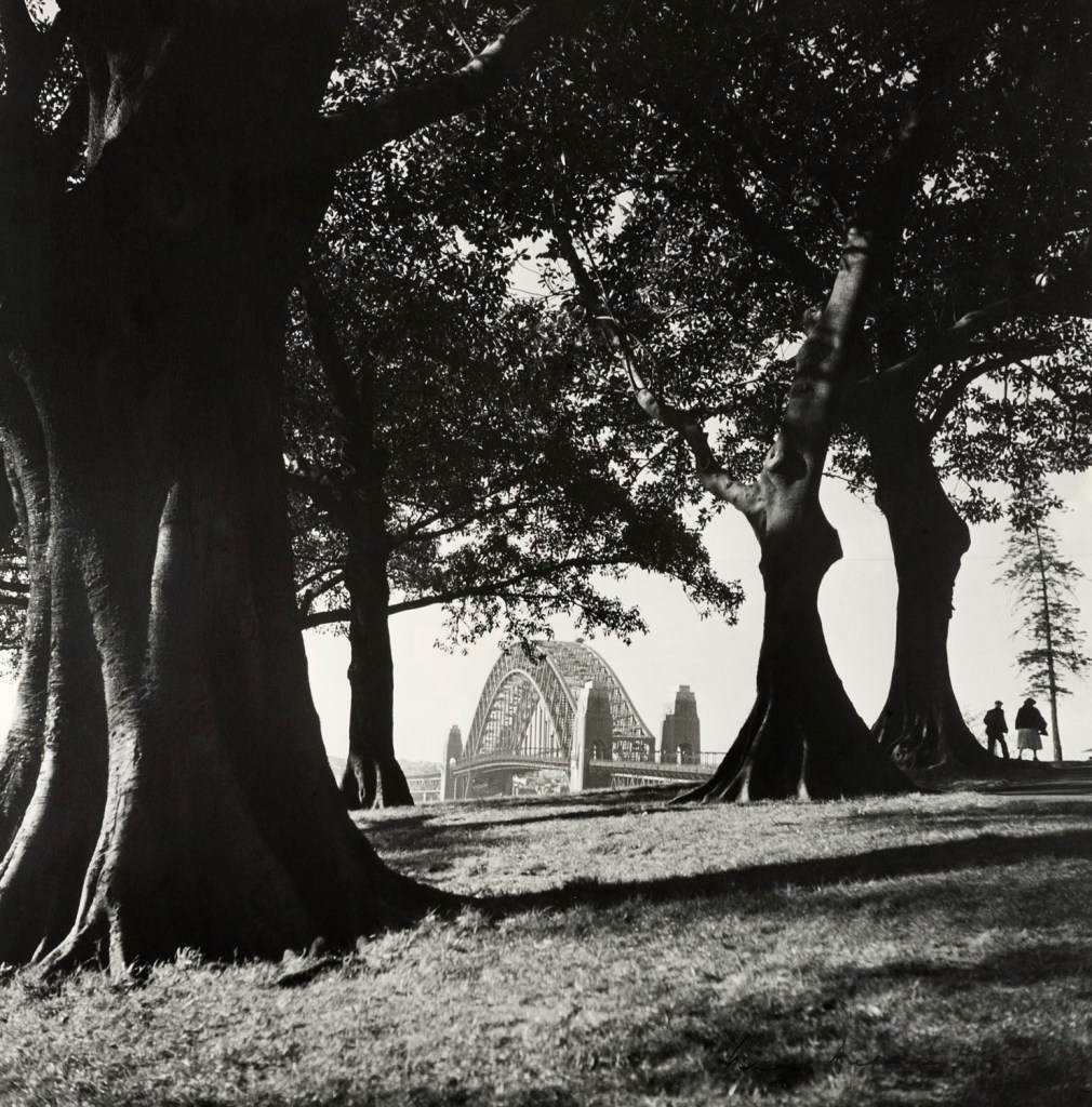 Max Dupain (Australian, 1911-1992) 'Observatory Hill, Looking North to the Sydney Harbour Bridge' 1940