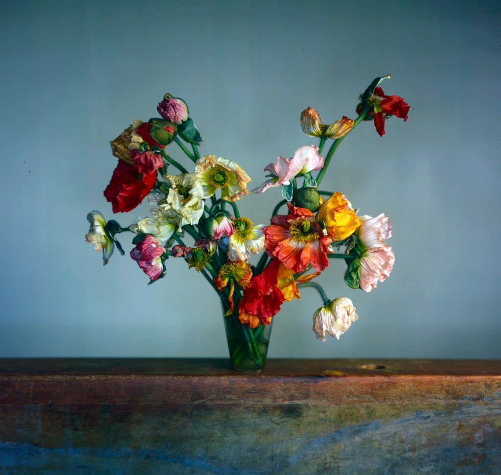 Richard Learoyd (British, b. 1966) 'Large Poppies' 2019