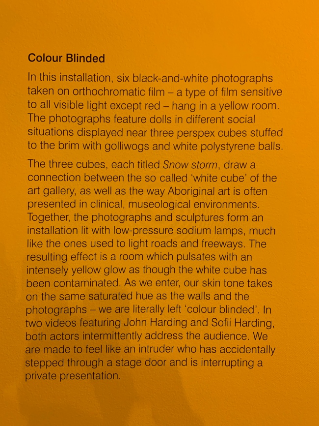 Wall text for the work 'Colour blinded' from the exhibition 'DESTINY' at The Ian Potter Centre: NGV Australia, Melbourne, 2020