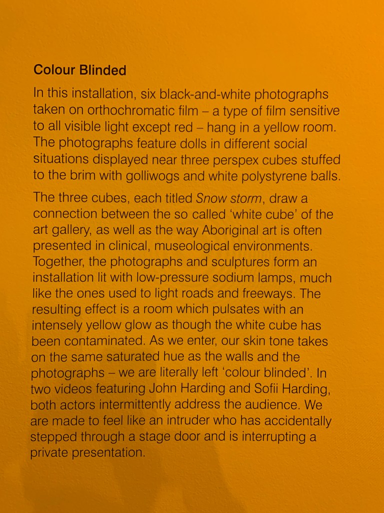 Wall text for the work 'Colour blinded' from the exhibition 'DESTINY' at The Ian Potter Centre: NGV Australia, Melbourne, 2020 Wall text for the work 'Colour blinded' from the exhibition 'DESTINY' at The Ian Potter Centre: NGV Australia, Melbourne, 2020