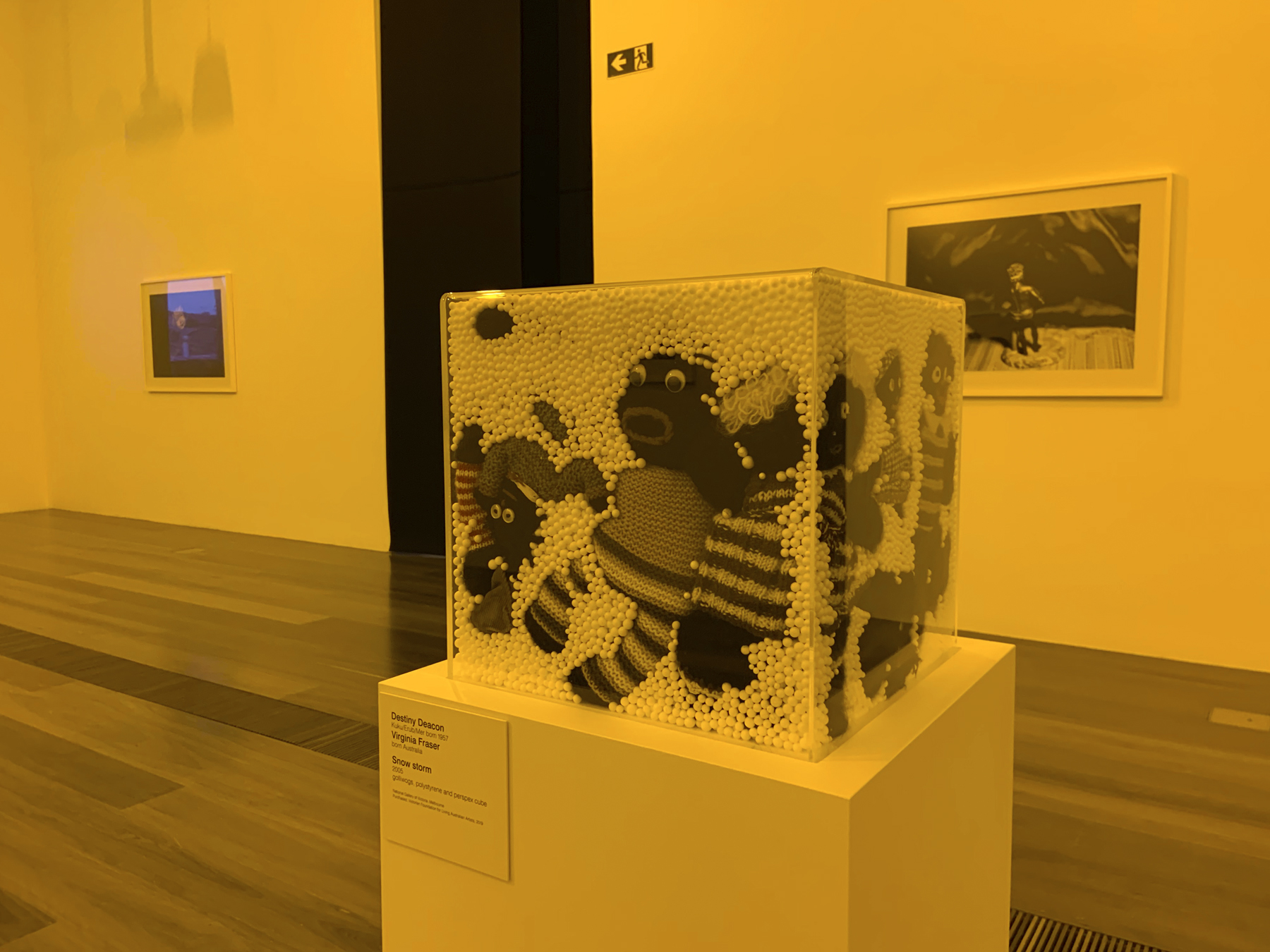 Destiny Deacon (Kuku/Erub/Mer b. Australia 1957-2024) Virginia Fraser (Australian) 'Snow storm' 2005 (installation view) Destiny Deacon (Kuku/Erub/Mer b. Australia 1957-2024) Virginia Fraser (Australian) 'Snow storm' 2005 (installation view)