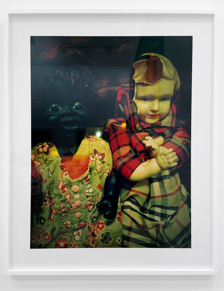 Destiny Deacon (Kuku/Erub/Mer b. Australia 1957-2024) 'Ebony and Ivy face race' 2016 (installation view) Destiny Deacon (Kuku/Erub/Mer b. Australia 1957-2024) 'Ebony and Ivy face race' 2016 (installation view)