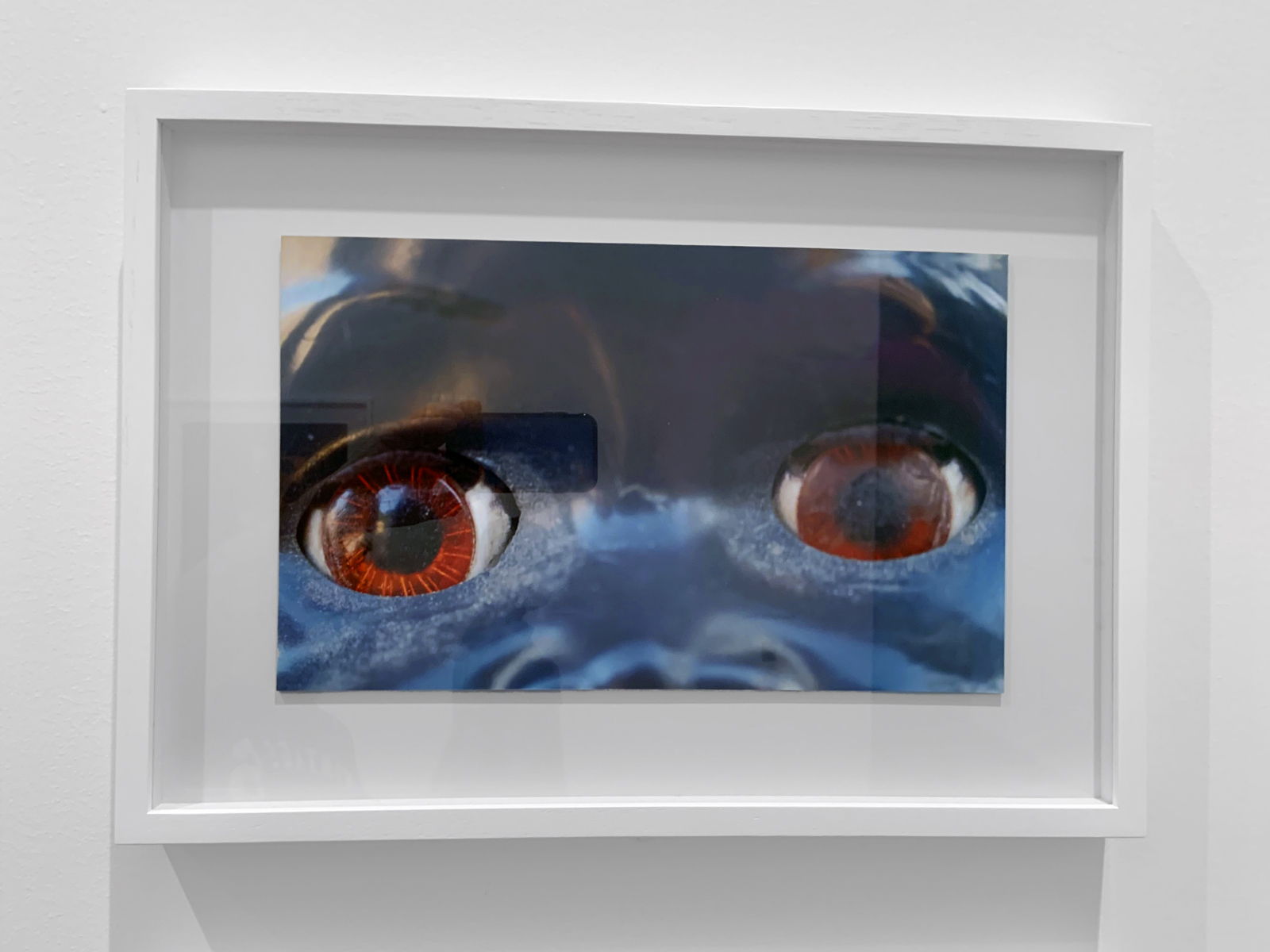 Destiny Deacon (Kuku/Erub/Mer b. Australia 1957-2024) 'Dolly eyes (A-H)' 2020 (installation view detail) Destiny Deacon (Kuku/Erub/Mer b. Australia 1957-2024) 'Dolly eyes (A-H)' 2020 (installation view detail)