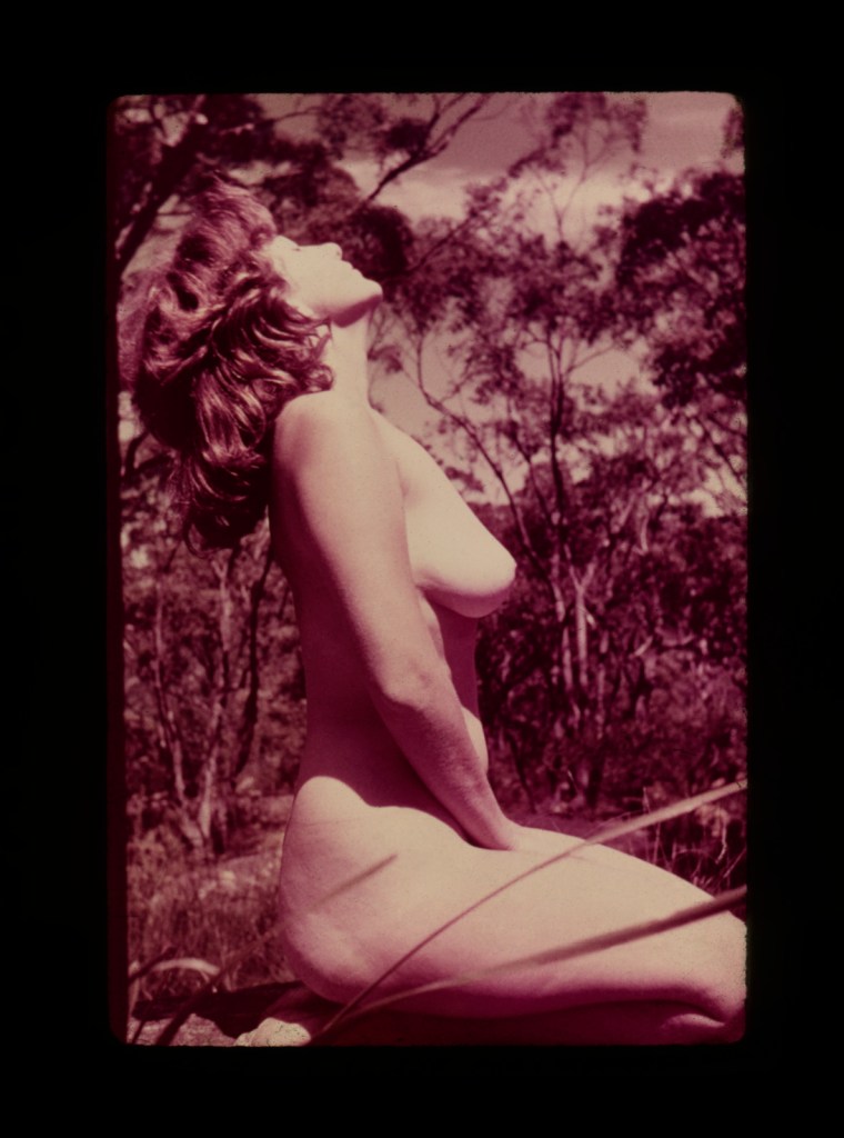 Unknown photographer (Australian?). 'Nude portrait' 1960s?