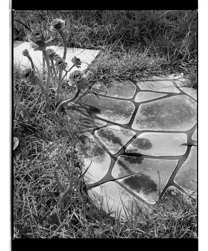 Marcus Bunyan (Australian, b. 1958) 'Crazy paving' 1994-1996