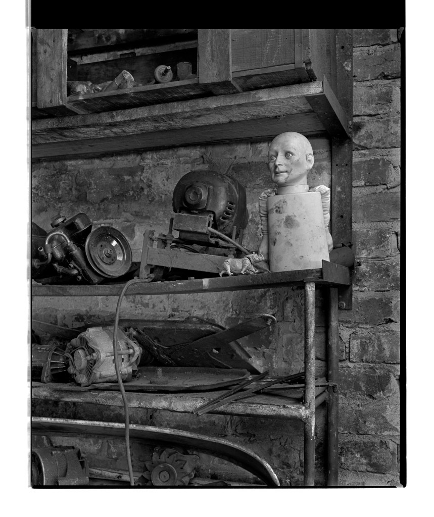 Marcus Bunyan (Australian, b. 1958) 'Doll face II' 1994-1996