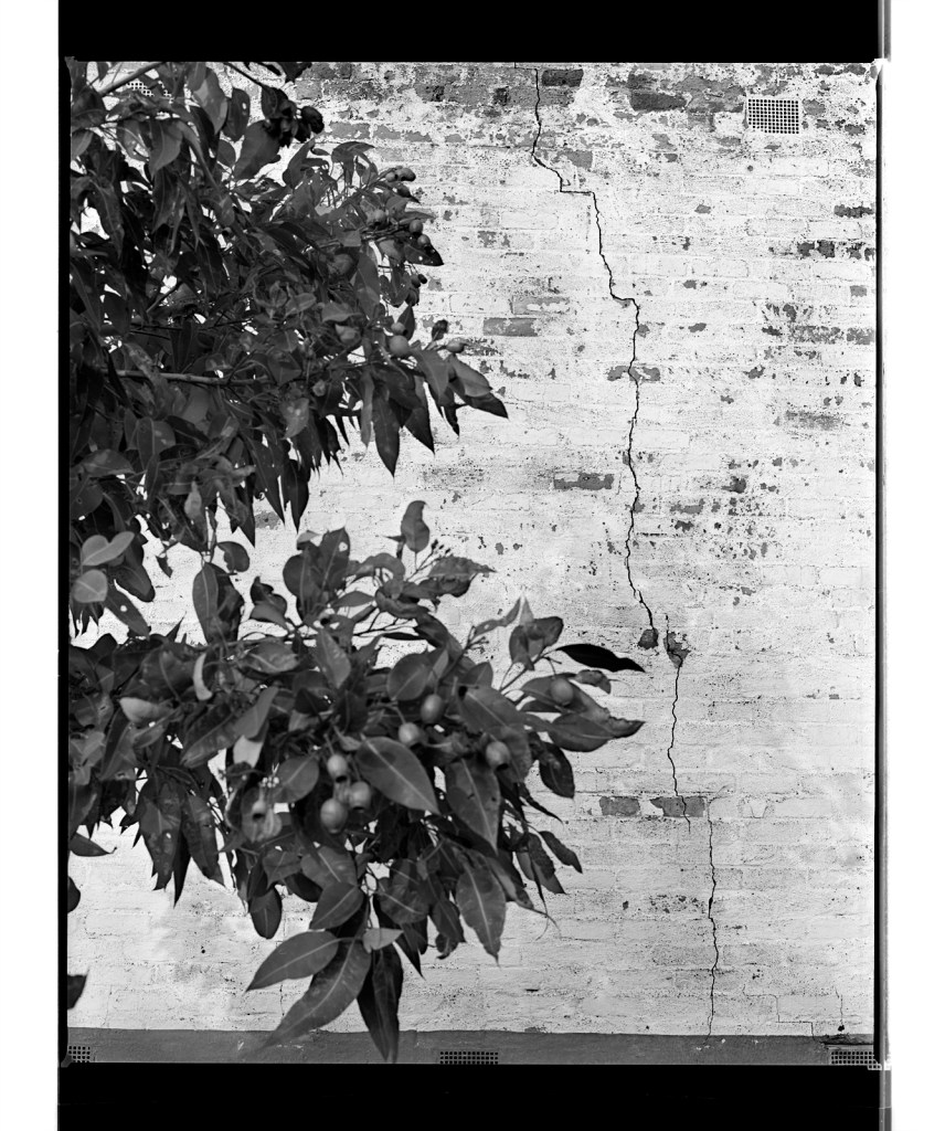 Marcus Bunyan (Australian, b. 1958) 'Cracked' 1994-1996