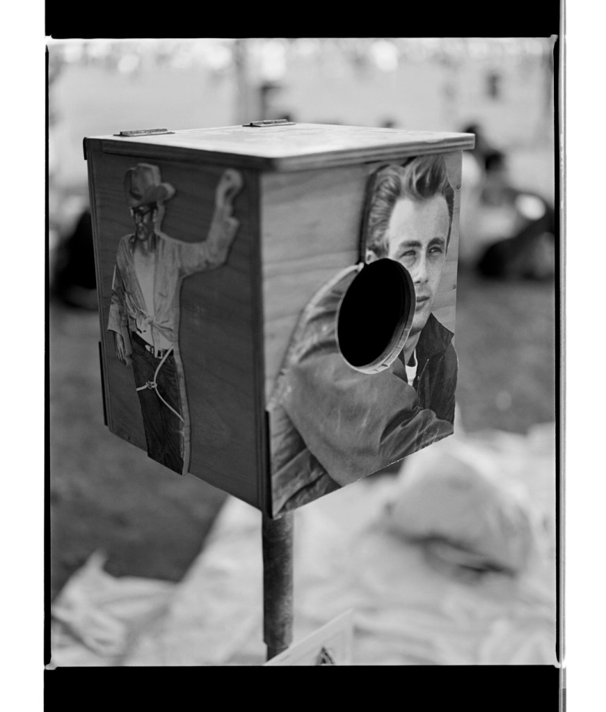 Marcus Bunyan (Australian, b. 1958) 'James Dean, Melbourne gay pride' 1994