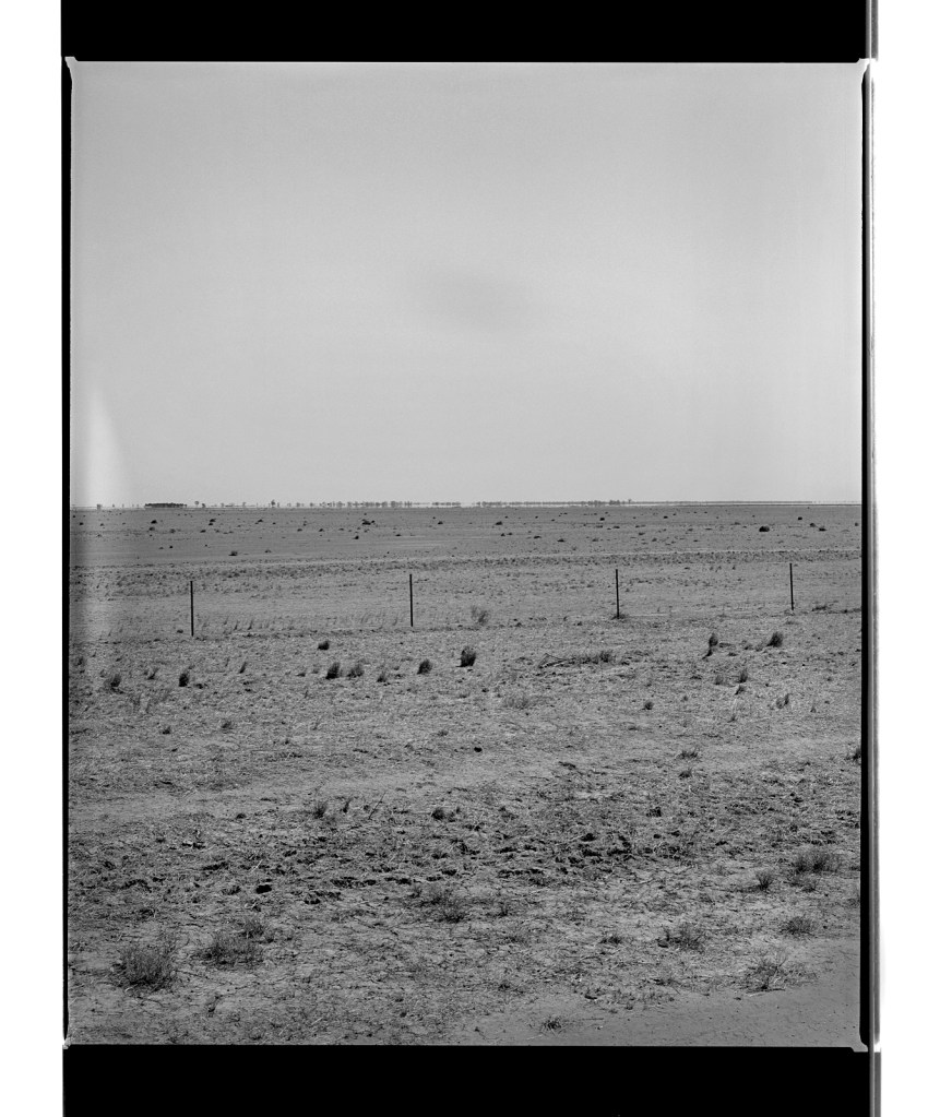 Marcus Bunyan (Australian, b. 1958) 'Out back' 1995