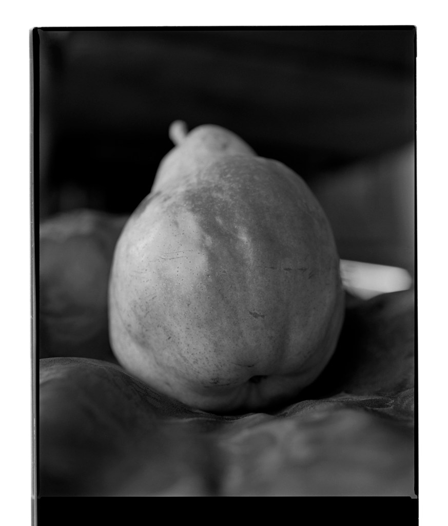 Marcus Bunyan (Australian, b. 1958) 'Pear I' 1994