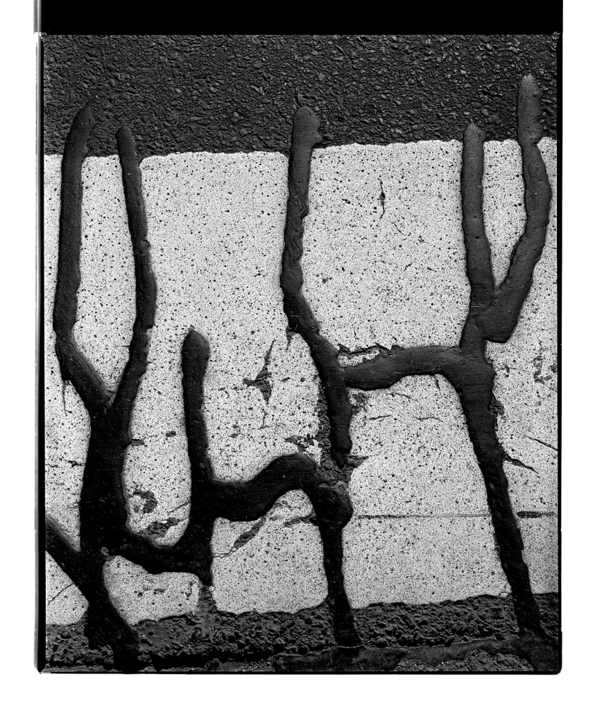 Marcus Bunyan (Australian, b. 1958) 'Untitled (creature)' 1996