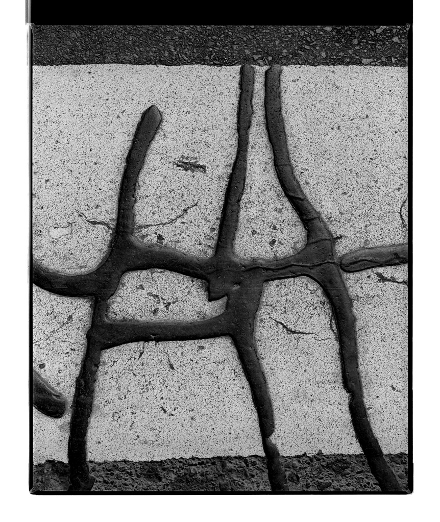 Marcus Bunyan (Australian, b. 1958) 'Untitled (creature)' 1996