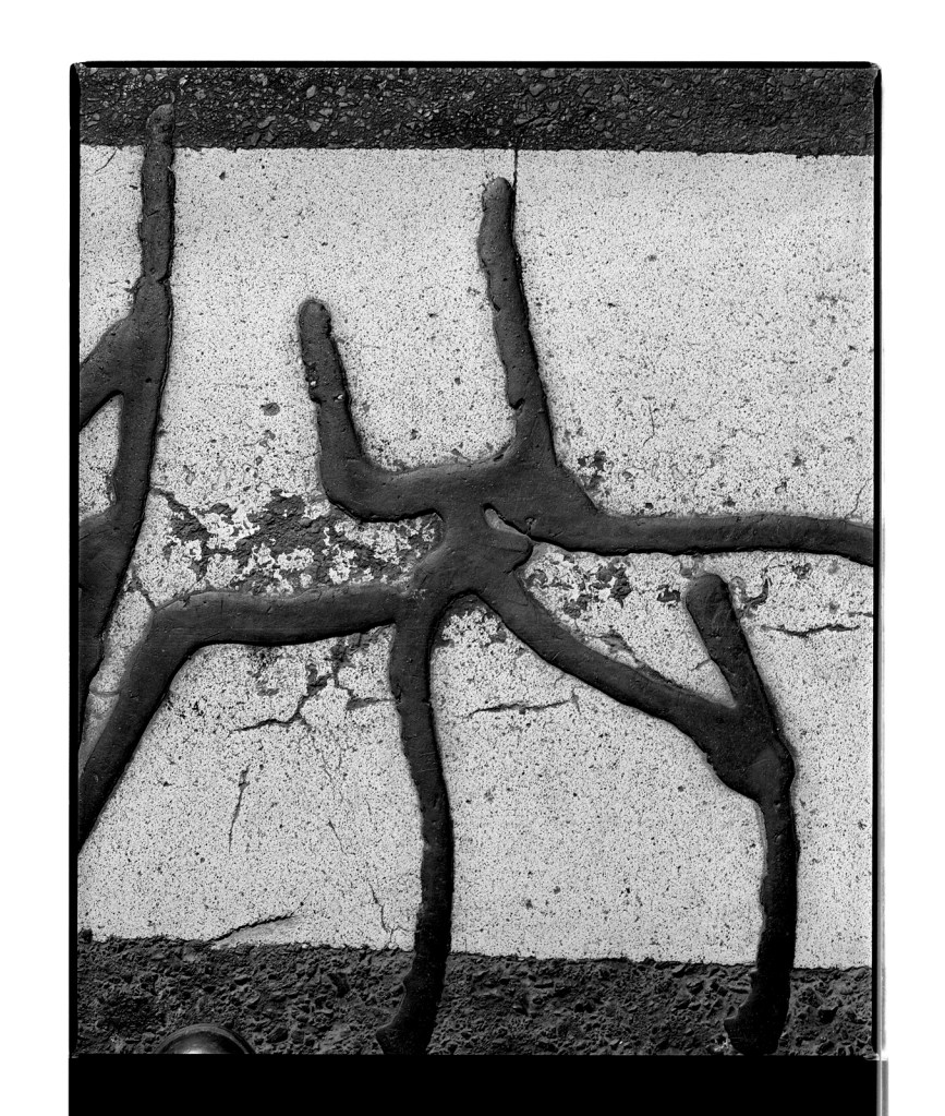 Marcus Bunyan (Australian, b. 1958) 'Untitled (creature)' 1996