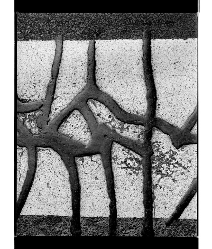 Marcus Bunyan (Australian, b. 1958) 'Untitled (creature)' 1996