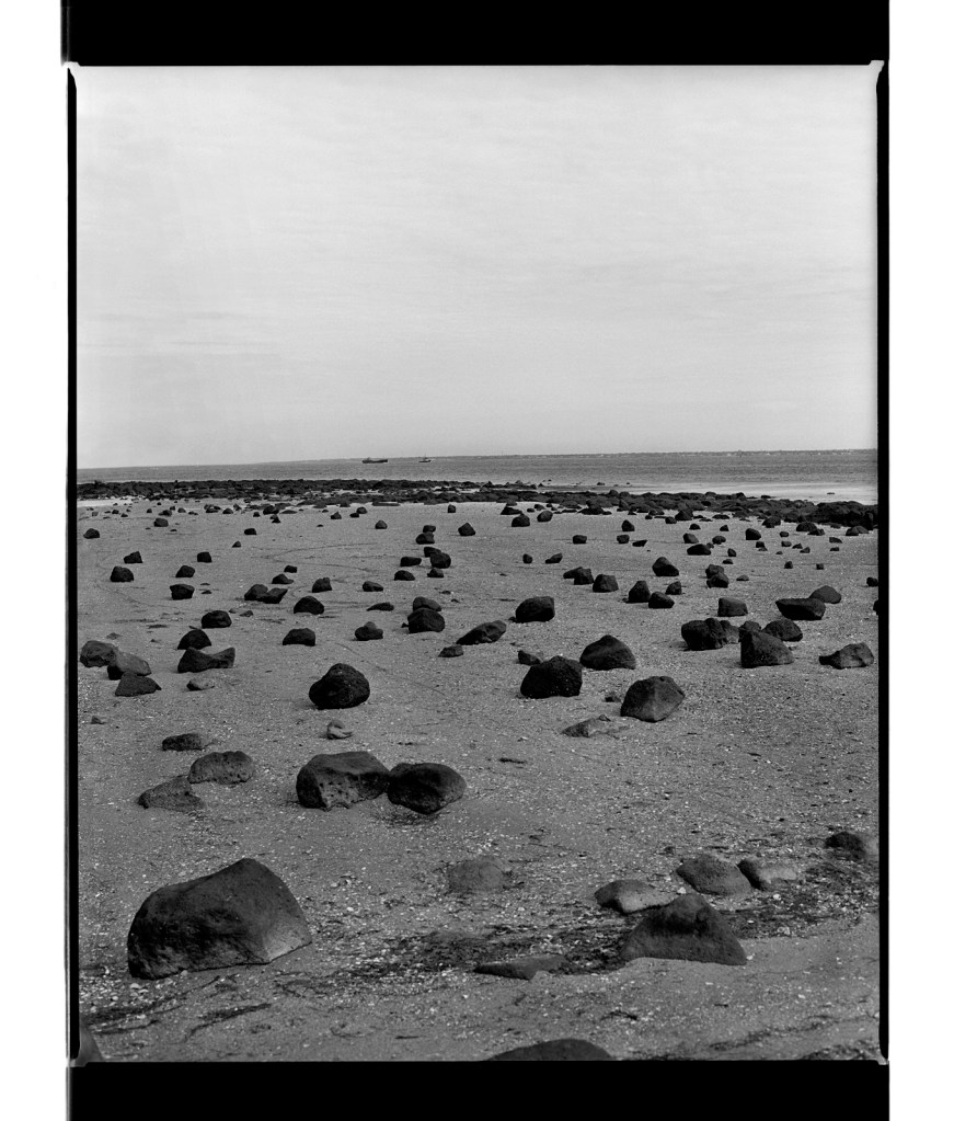 Marcus Bunyan (Australian, b. 1958) 'Australian landscape' 1995